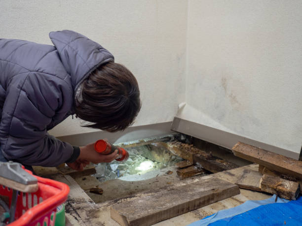 Best Industrial Mold Remediation  in Lake Sconsin, WI
