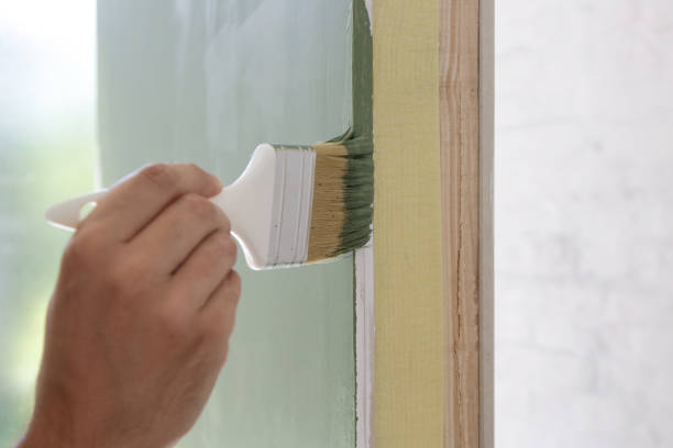Mold Odor Removal Services in Lake Wisconsin, WI