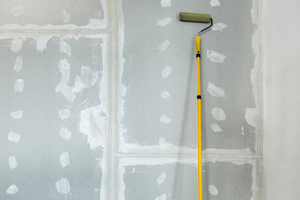 Best Attic Mold Removal  in Lake Sconsin, WI