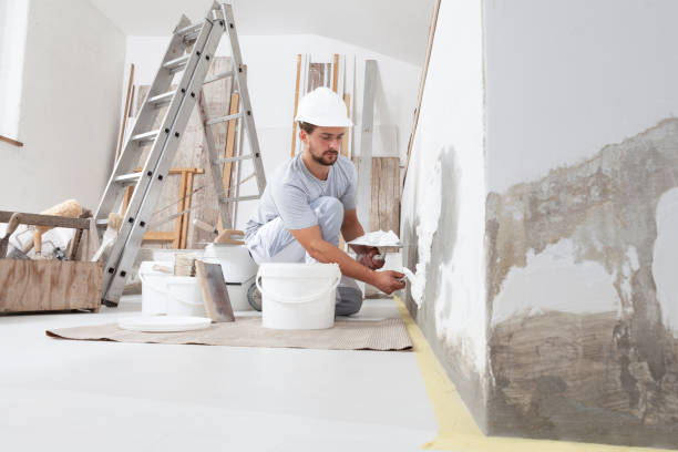 Best Basement Mold Removal  in Lake Sconsin, WI