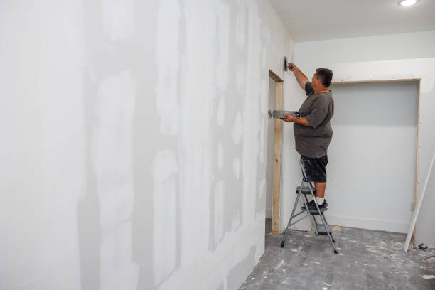 Best Post-Construction Mold Inspection  in Lake Sconsin, WI