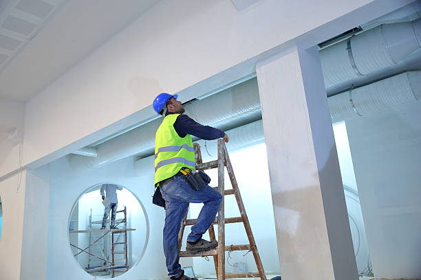 Reliable Lake Wisconsin, WI Mold Removal Solutions